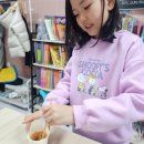 마녀수학학원 | 2025 초등 영어 하브루타 1월 둘째주 후기! [Katie 원장님] [고운동 퍼플랭 초등영수전문학원]