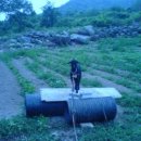 우승농장 이미지