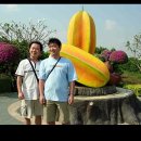 광일농장 이미지