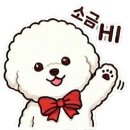 로데오 왁