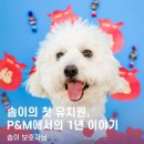 솜이랑 | [광주 반려견 전문 유치원] 솜이 보호자님의 후기
