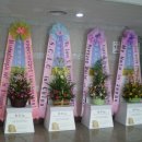 한국 아이돌 대만팬클럽 회원들, 이준기 사진전에 드리미 쌀화환 선물 이미지