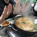 백김치새싹막회 이미지