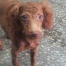 평안주유소 이미지