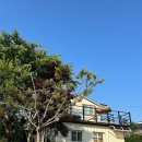 펜션 이상한 앨리스 네이버블로그