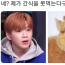 [어게인TV] '놀토' 강다니엘X채수빈, 받쓰 성공…태연 채수빈 도움으로 활약 이미지