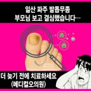 오메디칼의원 네이버블로그