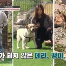 우람동물병원 이미지