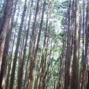 칼봉산휴양림펜션 이미지