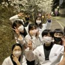 이천 품태권도장 이미지