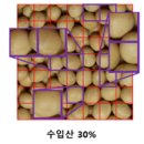 인공지능으로 농산물 원산지 가려낸다 이미지