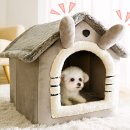 강아지와 고양이 이미지