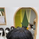 김호증모가발탐나