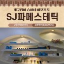 세븐일레븐평택송탄화신점 | 송탄피부관리 리프팅 문제성피부관리 플라즈마관리 SJ파메스테틱 방문후기