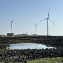 재일팬션 | JEJU 제주도 2박3일 서귀포편