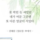 핑크스토리 이미지