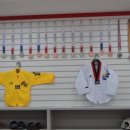 경성태권도 이미지