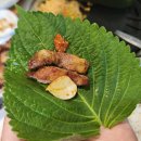 여유돼지부자돼소 이미지