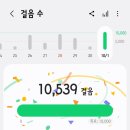 주혜정쌈밥