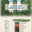 온 디톡스 족욕 까페 이미지