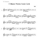 (C Major) Penta Tonic Lick (펜타토닉애드립 멜로디정리) 이미지