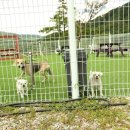 펜션봉쥬르 이미지