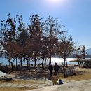 김동삼 행정사 사무소 이미지