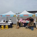 춘천시 청소년여행의집 | [춘천 강아지숲] 2026 국제 강아지의 날 기념 2026 강아지숲 도그페스타 참여 상세 후기(2025년과의 비교)