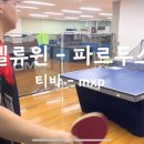 [붉돼리뷰] 벨류윈 - 파르두스 이미지