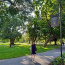 너스베이글 이미지