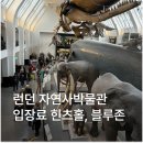 산호호프 - 광명시 광명로928번길 12 | 영국 런던 자연사박물관 입장료 예약 소요시간