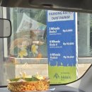 (주)마린파크 | 2507)6박8일 두번째 발리여행 - 발리 사파리 앤 마린파크 솔직 후기