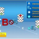 둔산라파엘의원 이미지