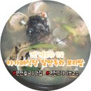 전곡읍-23 | 연천 맛집 아가페식당 본점에서 보리밥과 칼만두 한 그릇