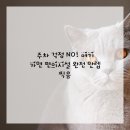 서울더스마일치과의원 이미지