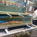 마라도생굴구이 - 북구 경대로5길 12-1 | 마라도생굴구이