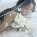 유하1 | W11. [스튜디오] 유하하우스 촬영 후기 / 대대대만족 후기