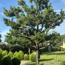 제주시간여행 휴양펜션 이미지