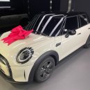 화이트모터스 이미지