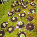 박진농장 이미지