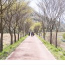 진안천물길 이미지