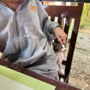 보홀 칼리카산 다이브 리조트 패밀리 룸 (Kalikasan dive resort Family room) 0.5박 후기