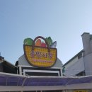 강릉 중앙시장 이미지