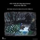 서울 2월 무료전시 갤러리 가볼만한곳 리스트 (강남, 용산 한남동, 후암동, 삼청동)