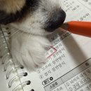 재생산업 | [신재생에너지발전설비산업기사/공부방법/독학/취득후기]