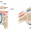 어울림한의원 이미지