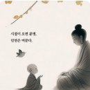 시절 인연 이미지
