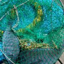 갯바위펜션 이미지