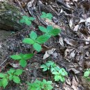 아버지농장 이미지