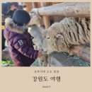 장송모도자연구원 | 평창 대관령 양떼목장 메밀꽃필무렵 장송모 도자연구원